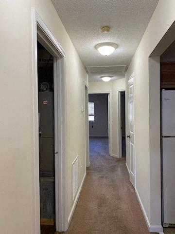 Gallery Photo 11